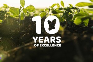 Close-up of young soybean plants sprouting in soil, illuminated by sunlight, with a graphic that reads 10 years of excellence